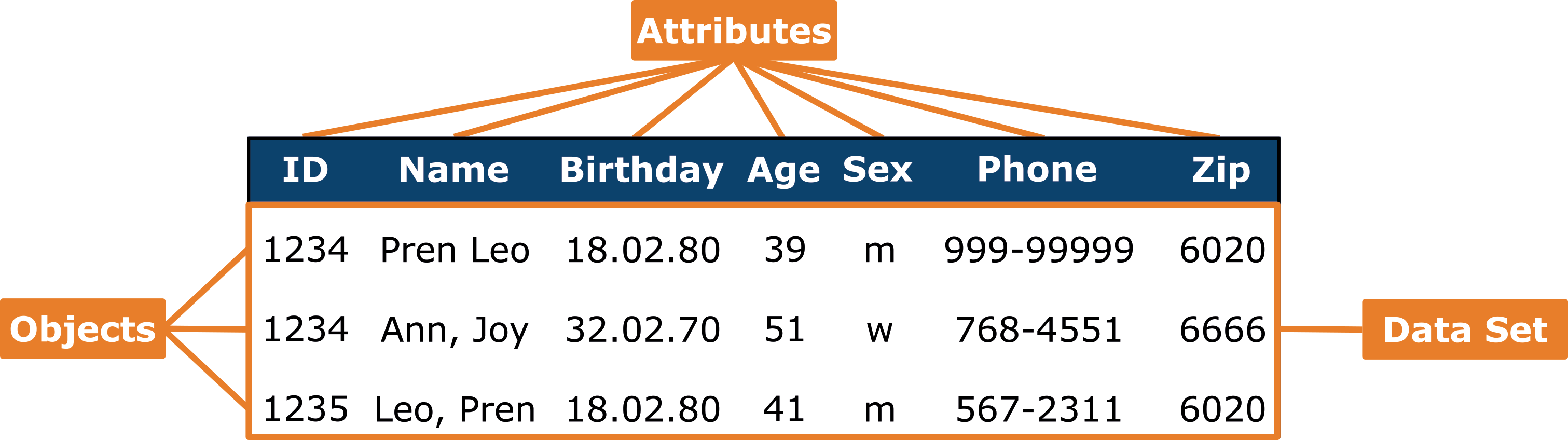 Data Set